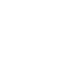FlyingX Media Logo